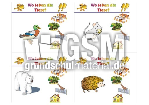 HC-Tiere leben B 05.pdf